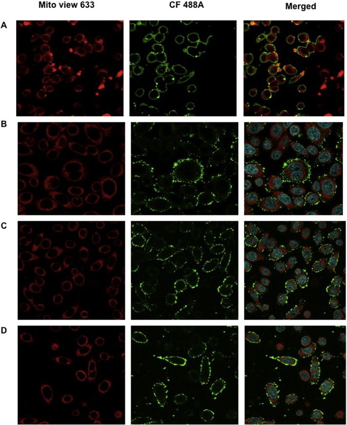 Supplementary Fig. 2