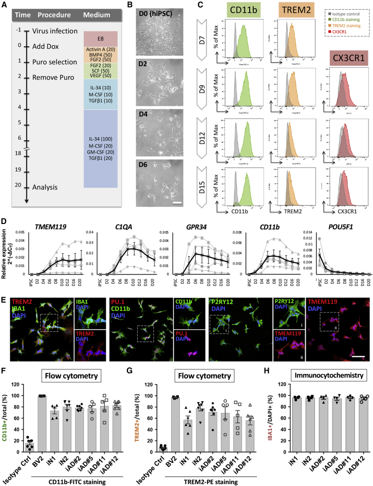 Figure 2