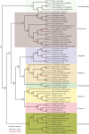 Figure 4.