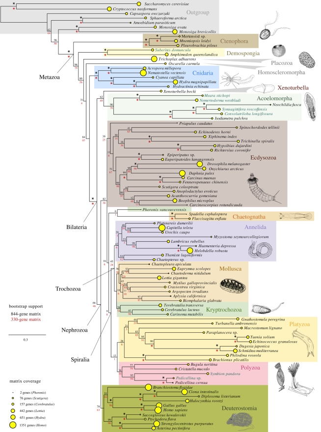 Figure 2.