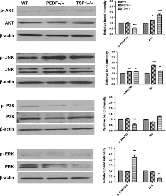 Figure 14.