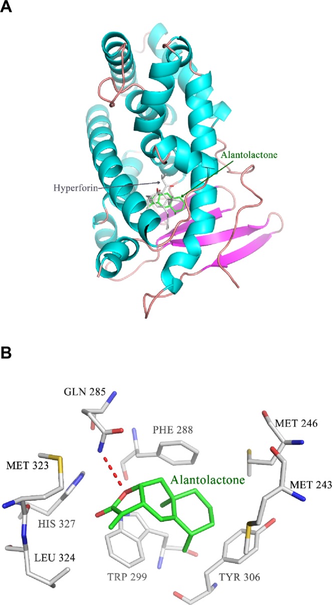 Figure 7