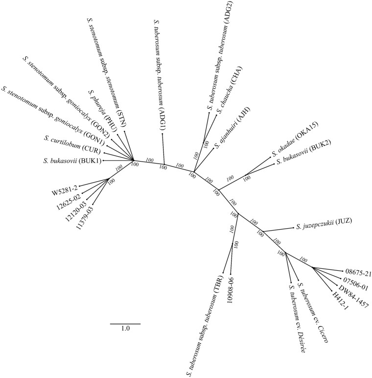 Figure 7.