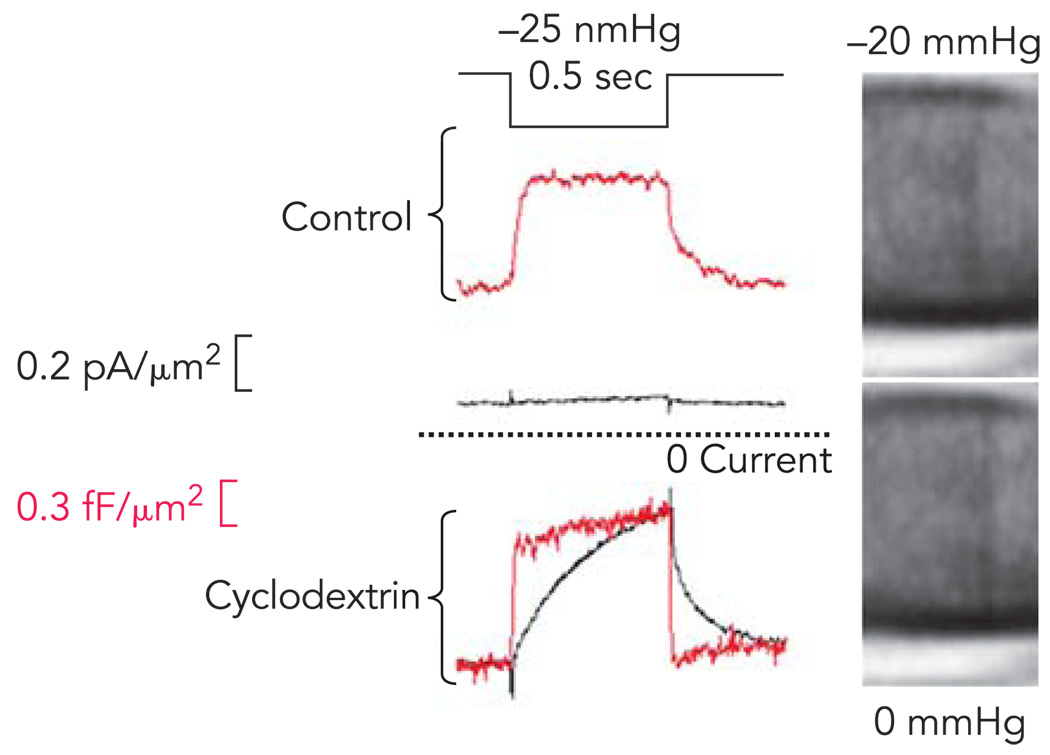 FIGURE 3