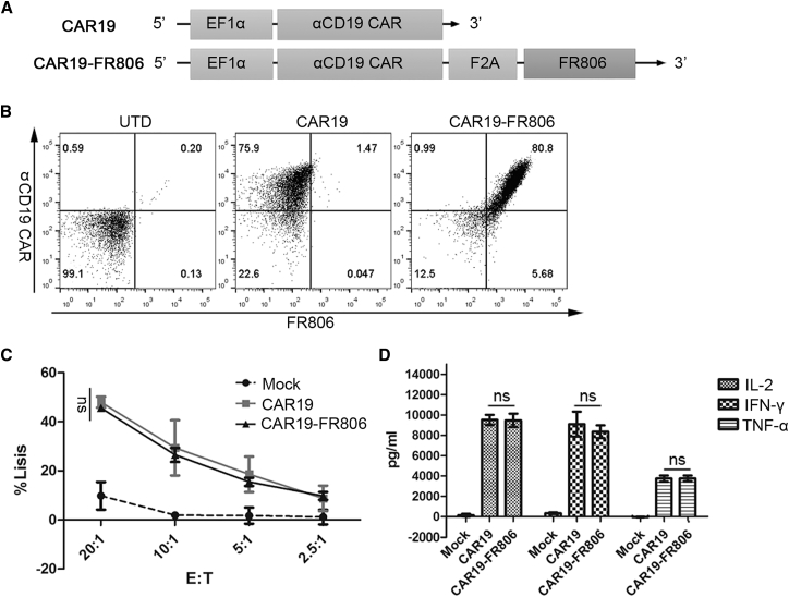 Figure 4