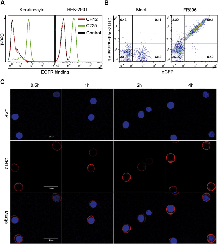 Figure 2