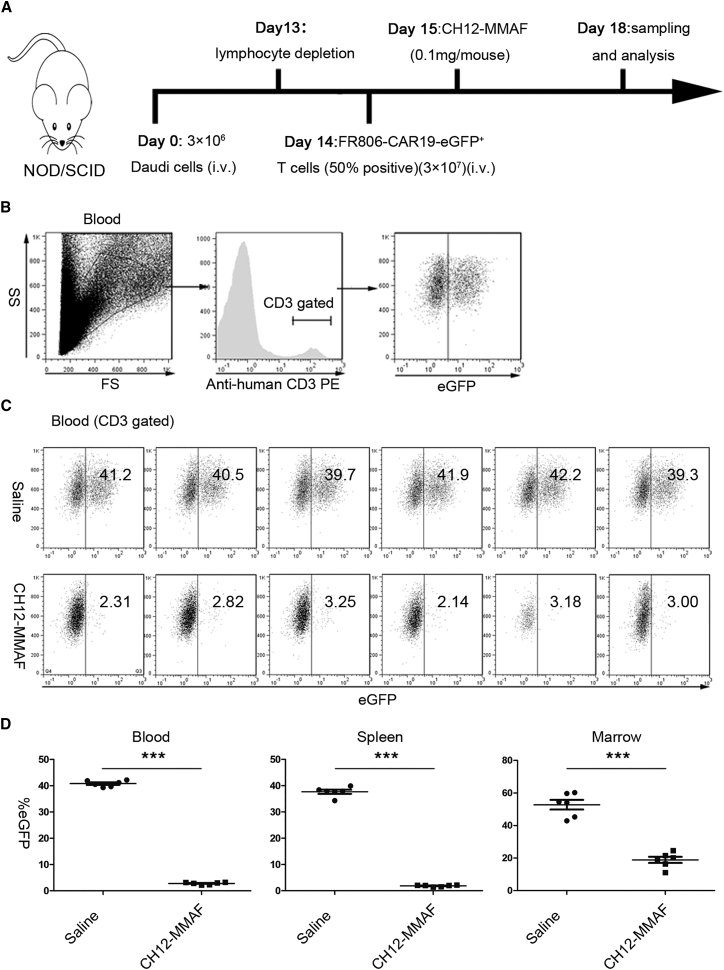 Figure 6