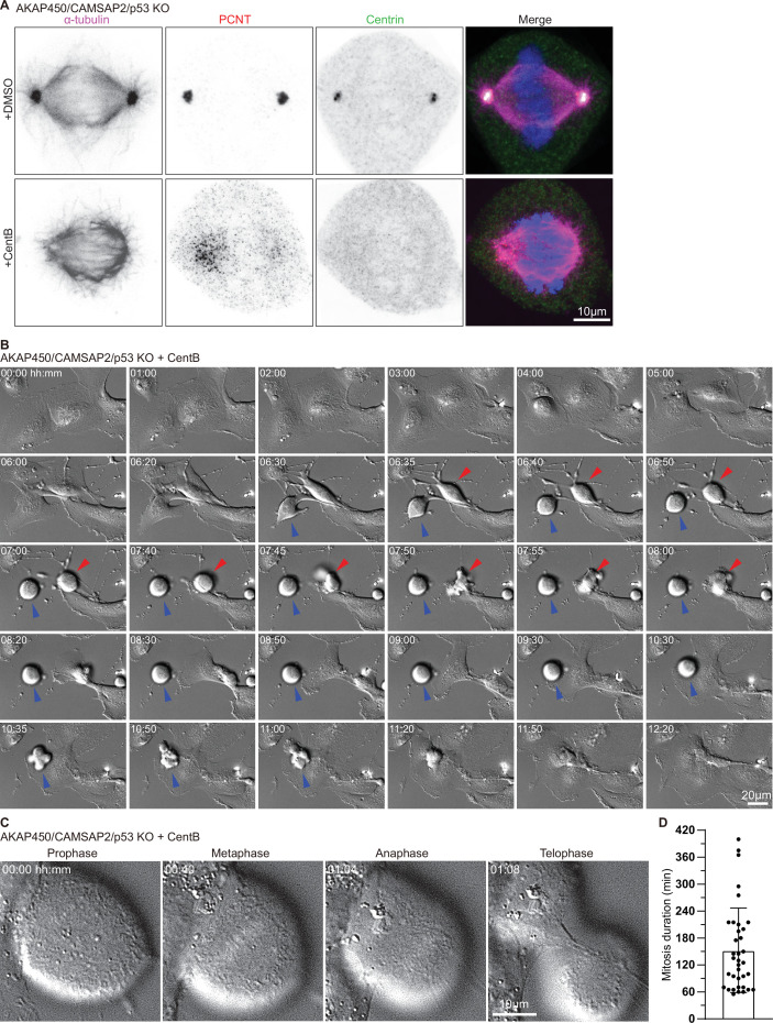 Figure 2—figure supplement 3.