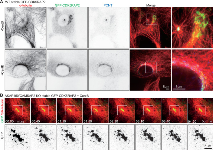 Figure 1—figure supplement 3.