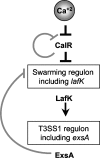FIG. 9.