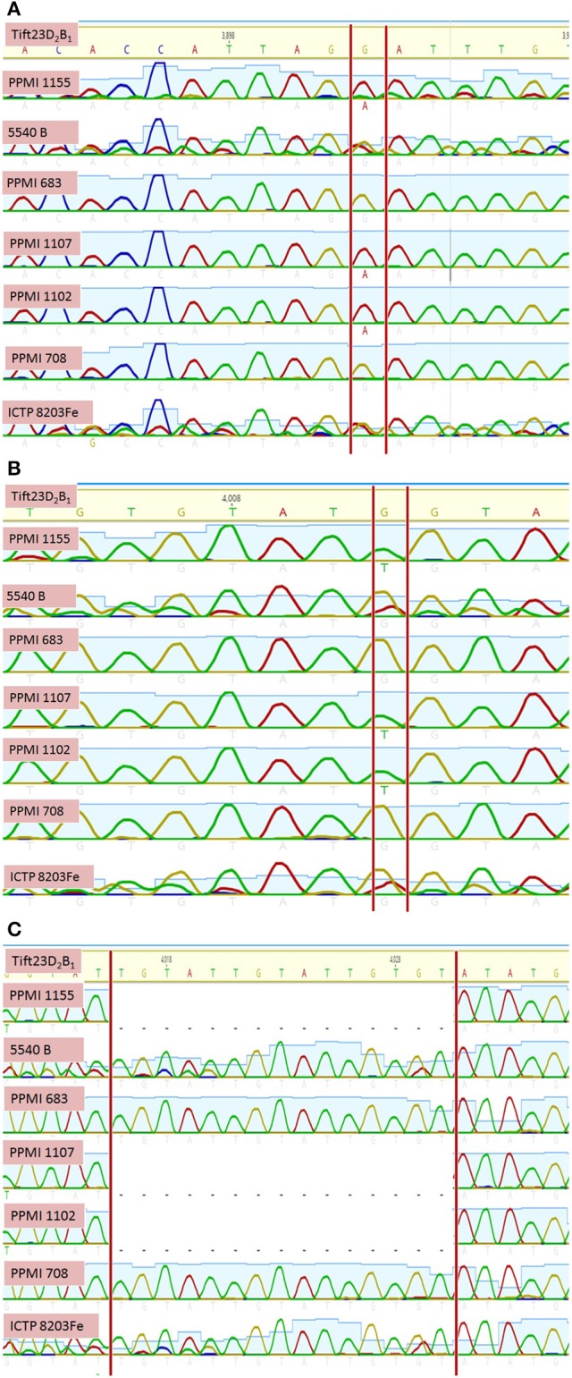 Figure 6