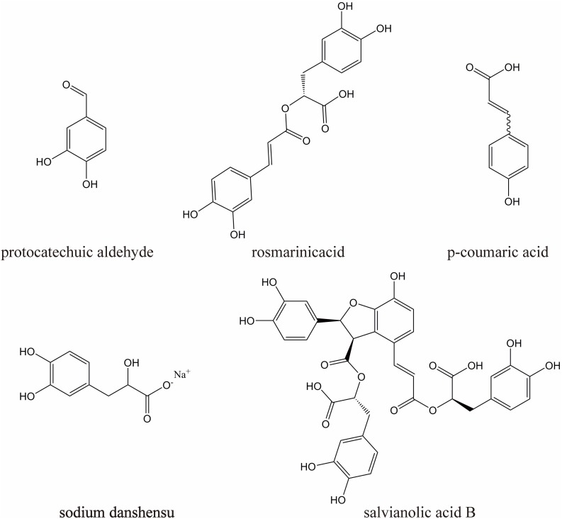 FIGURE 1