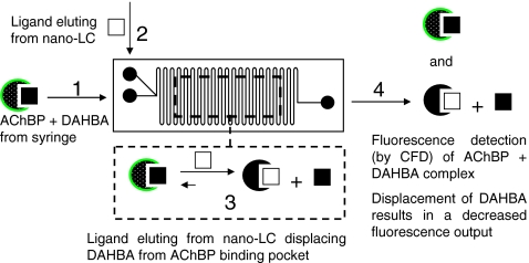 Fig. 3