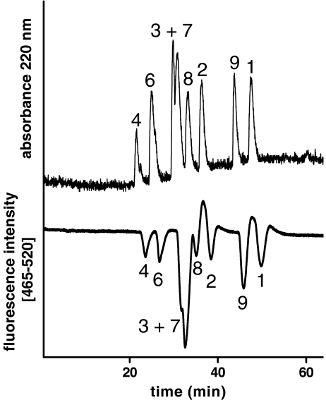 Fig. 7