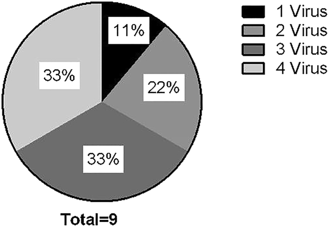 Figure 5