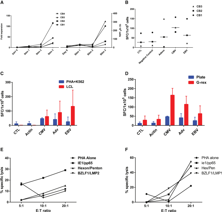 Figure 3