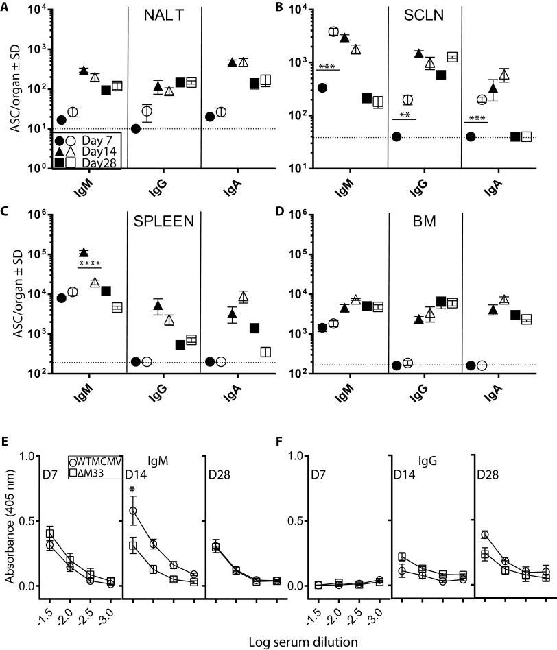 FIG 3