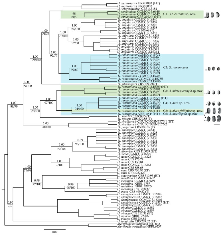 Figure 1