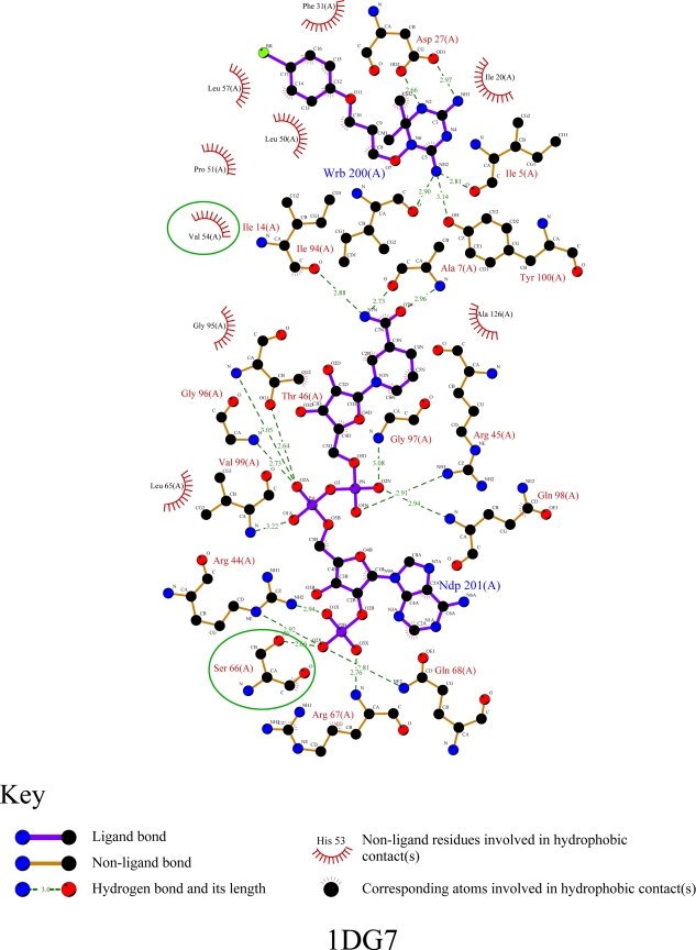 FIG. 1.