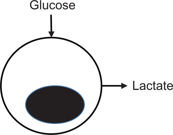 Figure 5.1