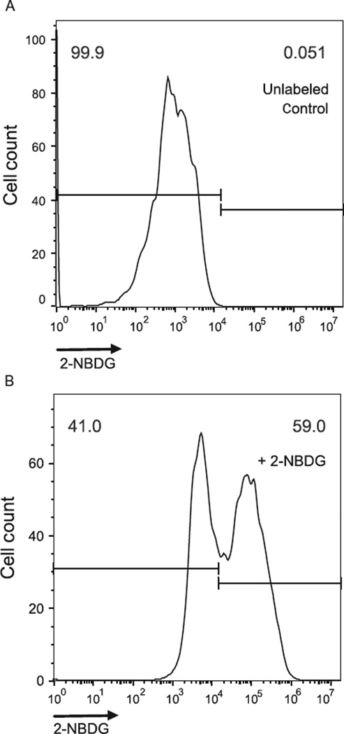 Figure 5.4