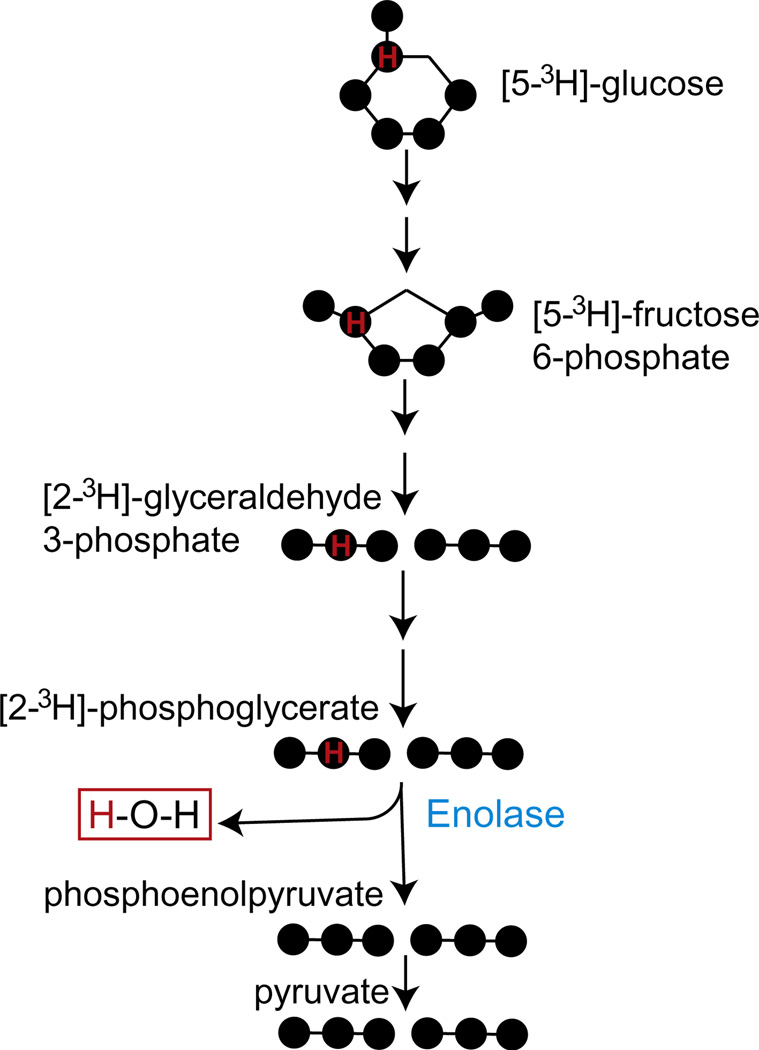 Figure 5.6