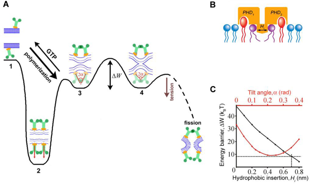 Fig. 4