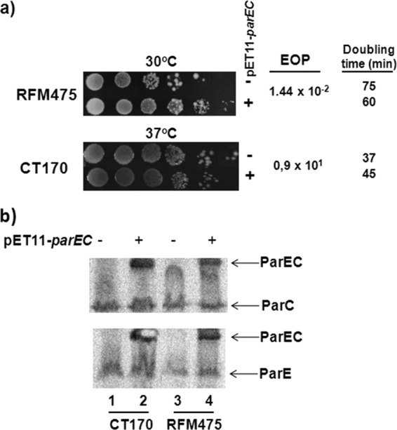 Fig 4