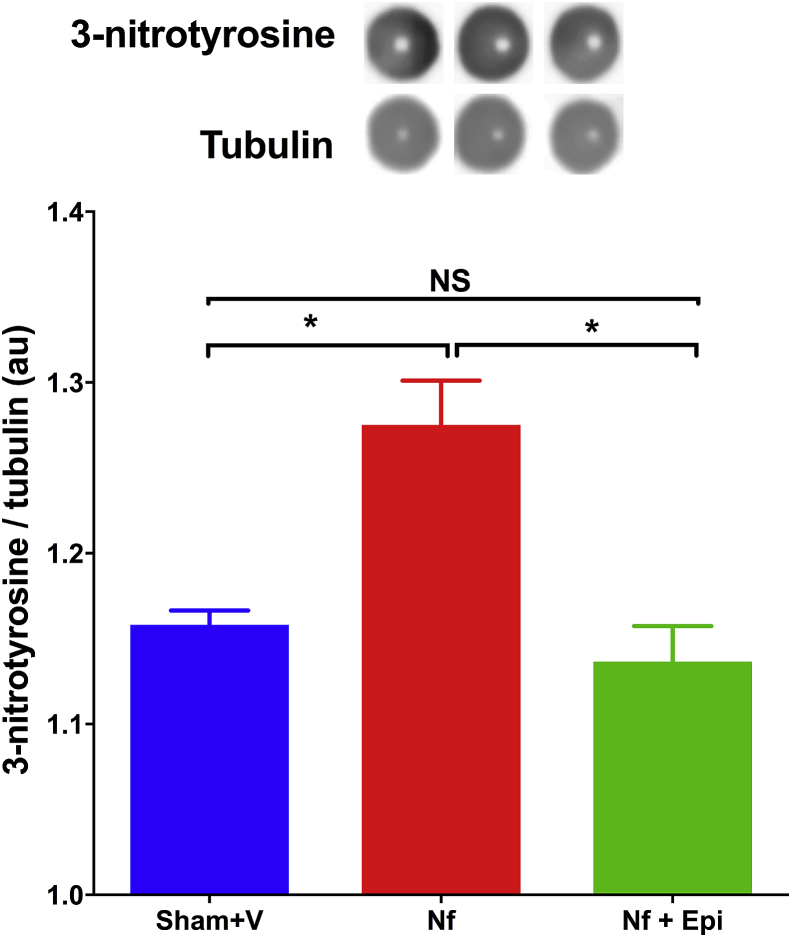 Fig. 7