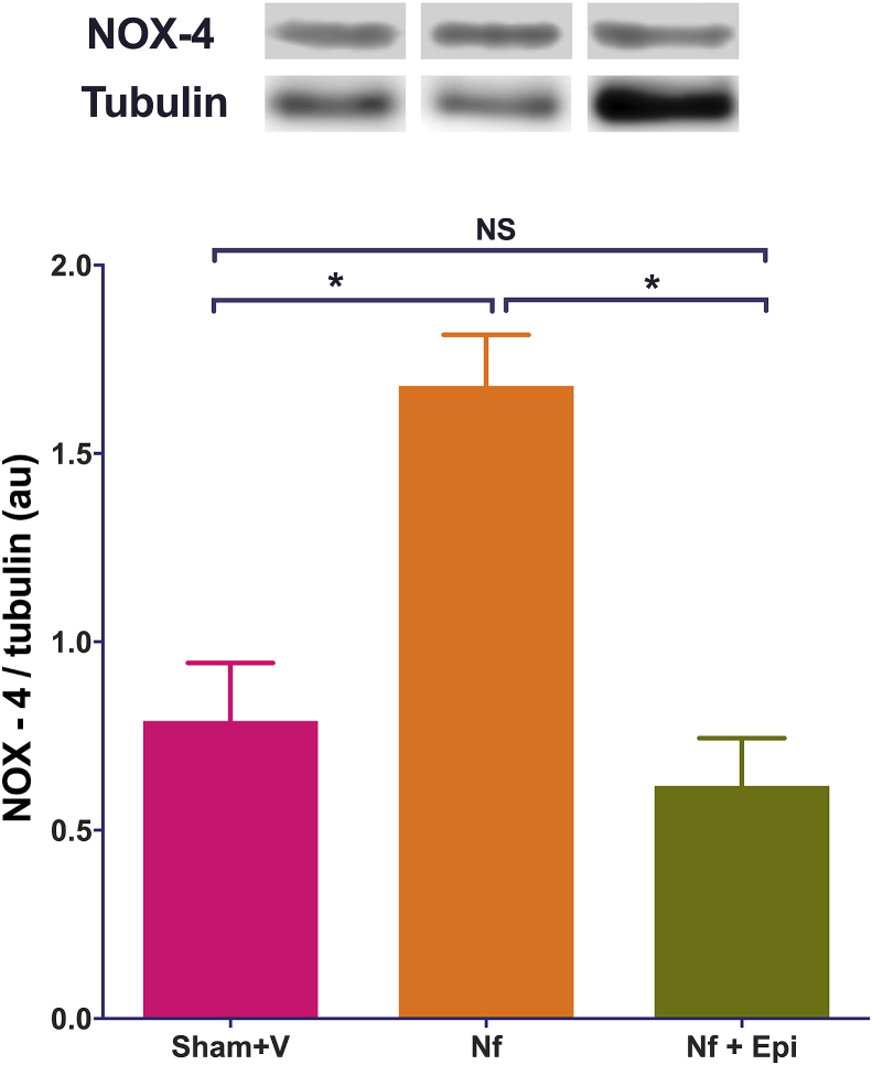 Fig. 6