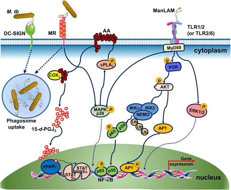 Figure 2.