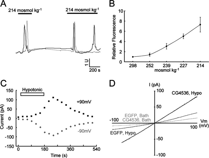  Figure 3. 