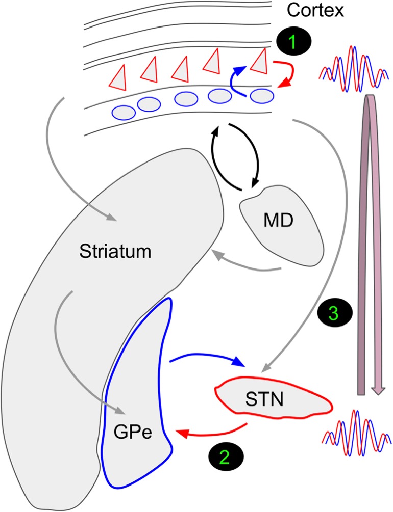 Figure 2.