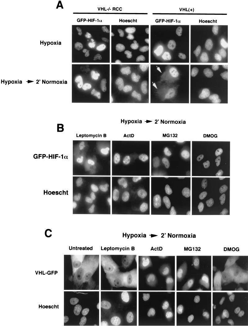 FIG. 6.