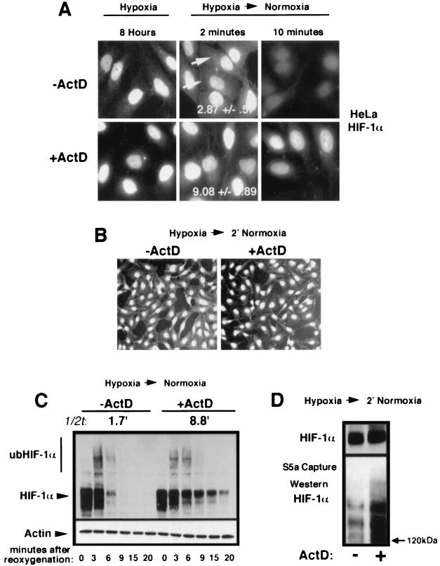 FIG. 7.