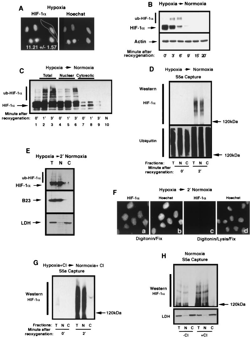  FIG.3.