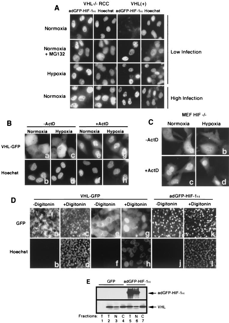  FIG.2.