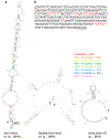 Extended Data Figure 6.