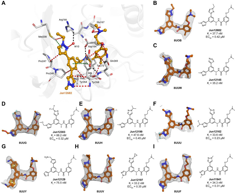 Fig. 3.