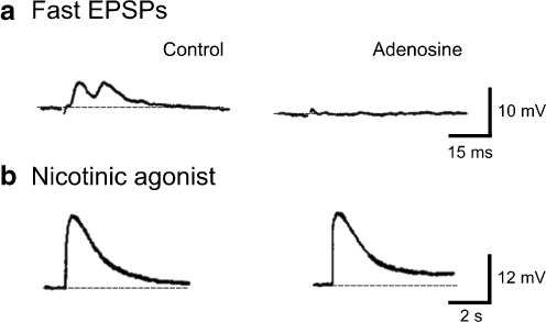 Fig. 2a, b