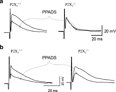 Fig. 4a, b