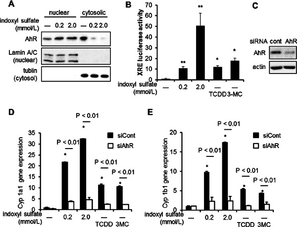 Fig. 2.