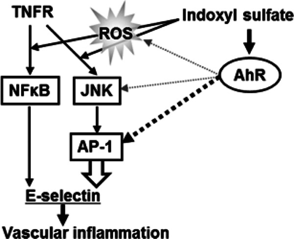 Fig. 6.