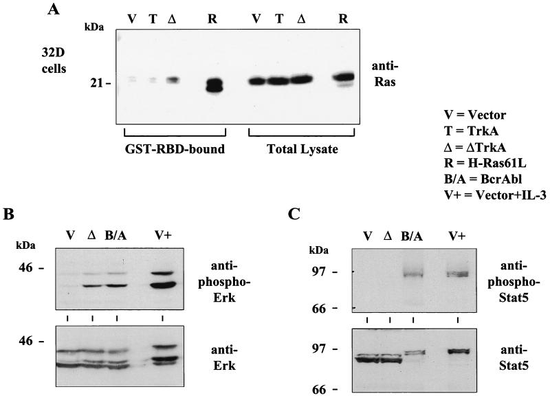 FIG. 8