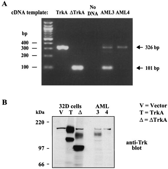 FIG. 9