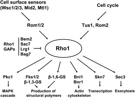 Figure 10 