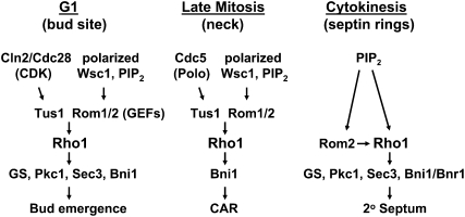 Figure 4 