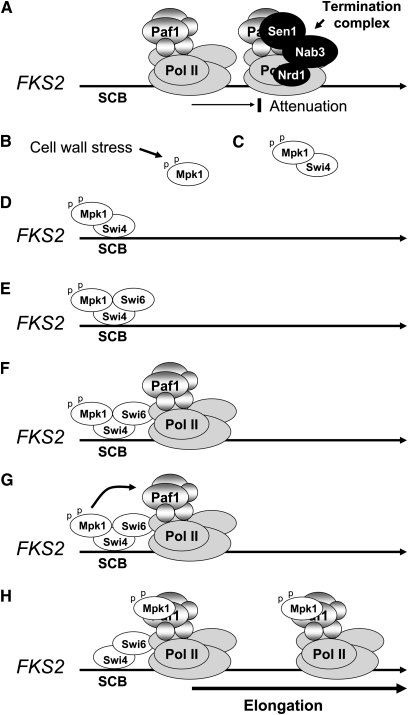 Figure 9 