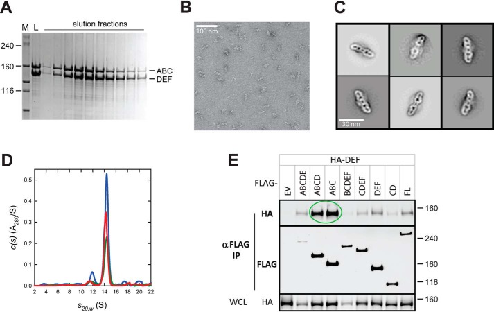 Figure 6.