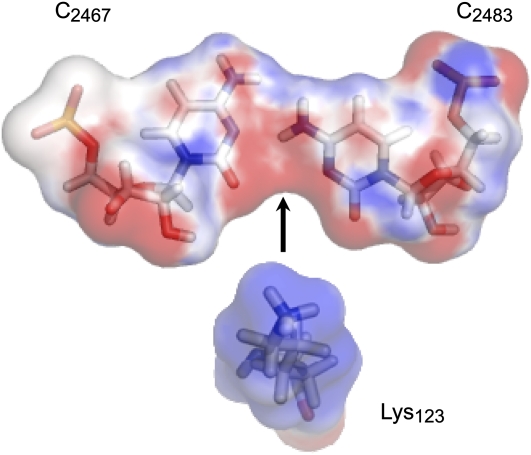 Figure 3.